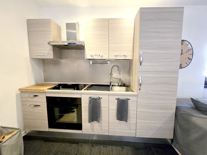 Casa di nucleo 3,5 e 2,5 ristrutturata a nuovo con bellissimi esterni. (4)
