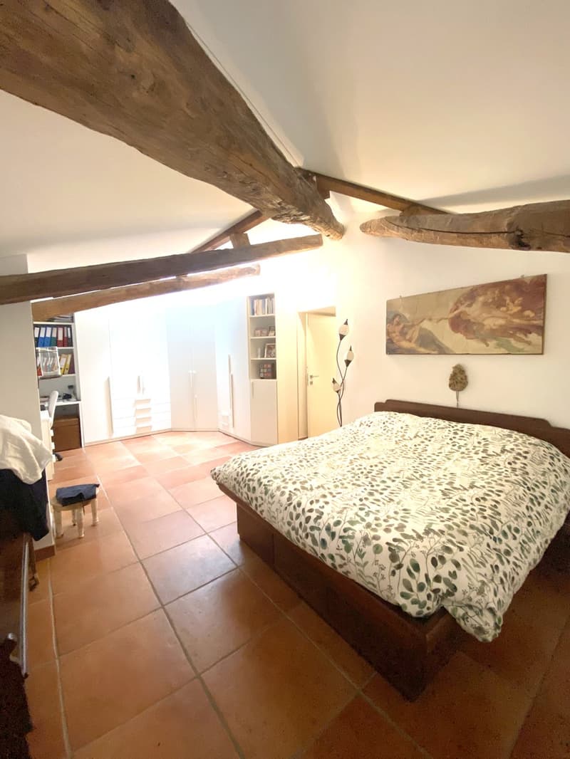 Meravigliosa casa storica 5,5 di charme attentamente ristrutturata (4)