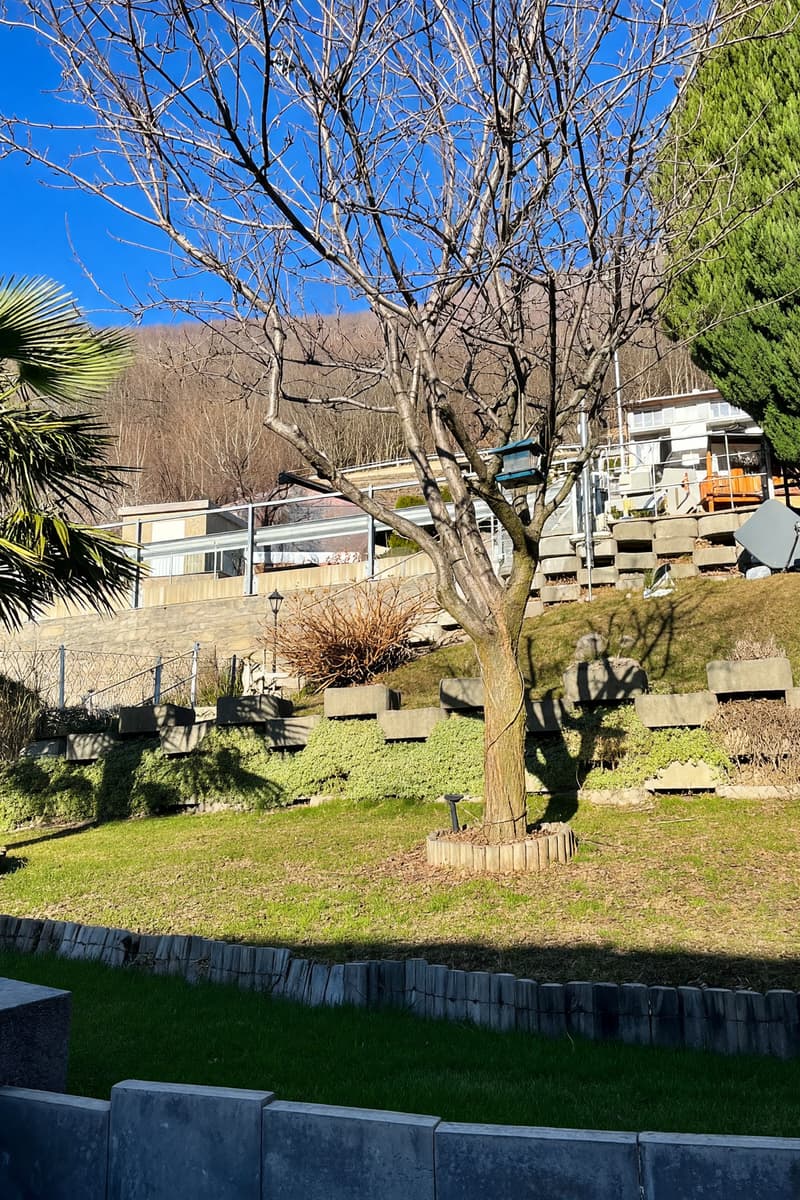 Casa di nucleo 3,5 con giardino e veranda esterna (12)