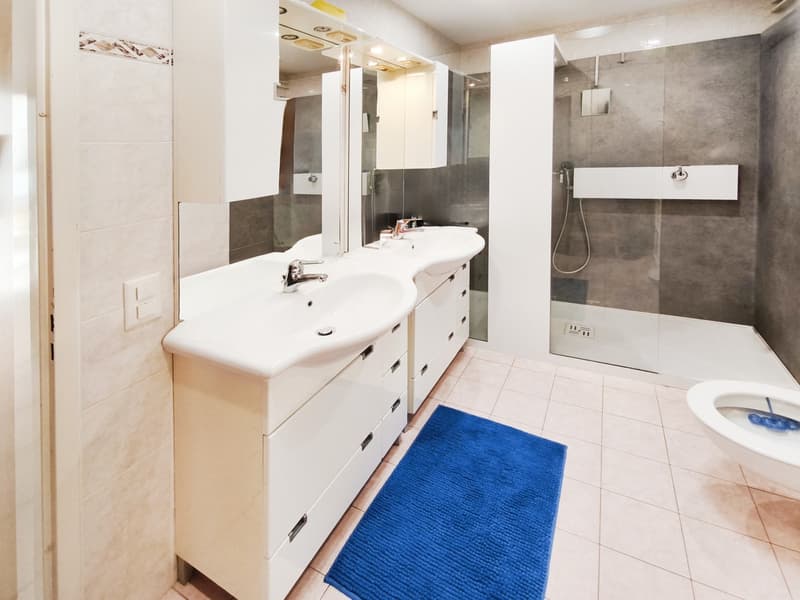 Casa indipendente 5,5 con giardino e spazi commerciali (11)