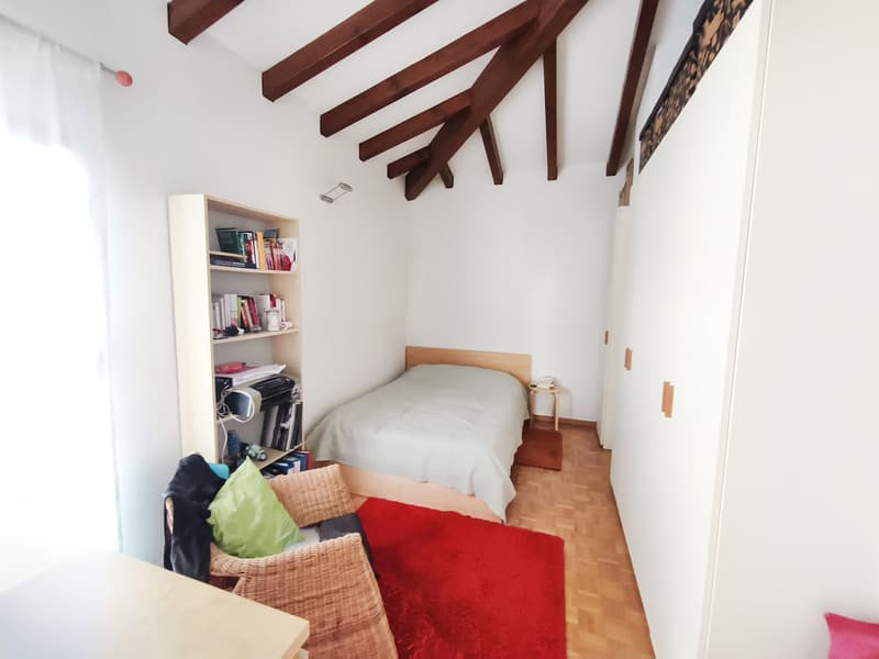 Meravigliosa casa 6,5 locali con giardino con piscina controcorrente (10)