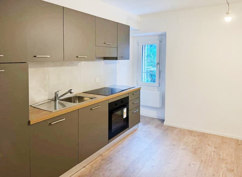 Casa bifamiliare di reddito con due appartamenti e spazio magazzino. (2)