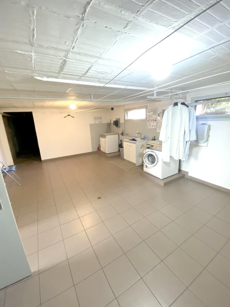 Bel 3,5 recentemente parzialmente ristrutturato con balcone coperto. (8)