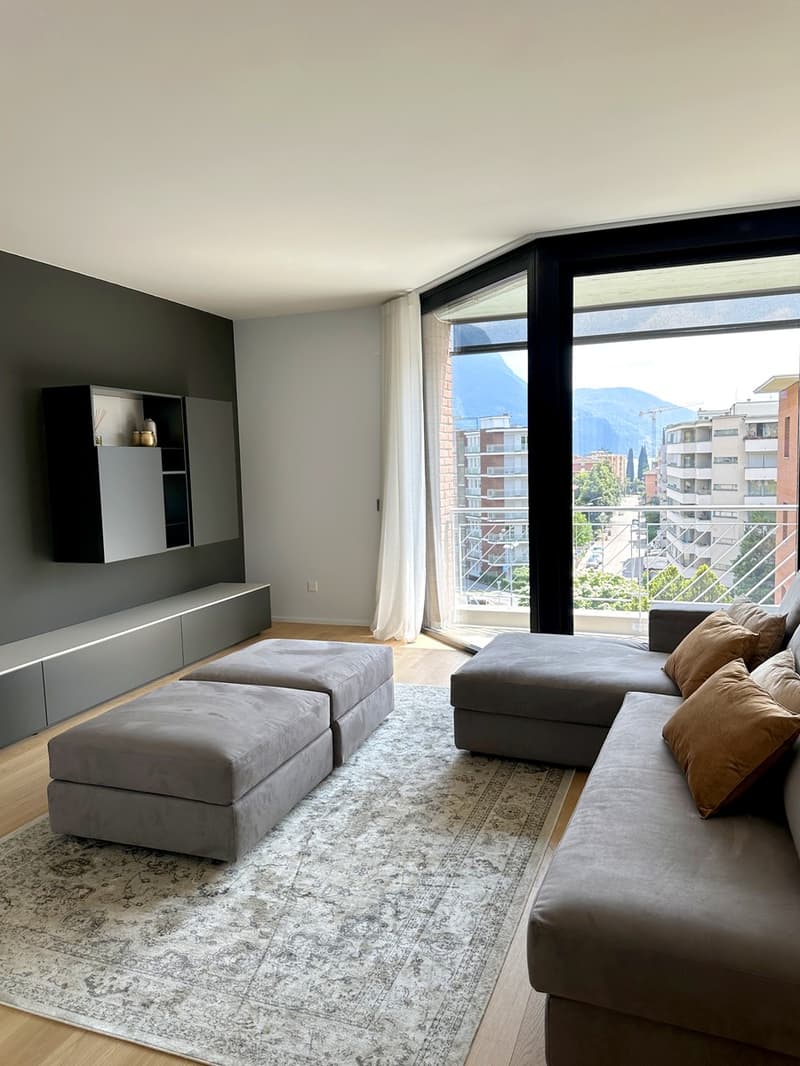 Attico duplex 4,5 ristrutturato a nuovo con rooftop panoramico. (3)