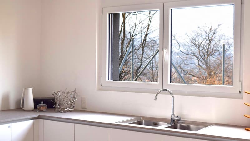 Moderno appartamento 3,5 con giardino e locale studio indipendente. (3)