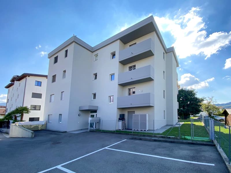 Appartamento 3,5 locali con giardino e posteggi - residenza secondaria (6)