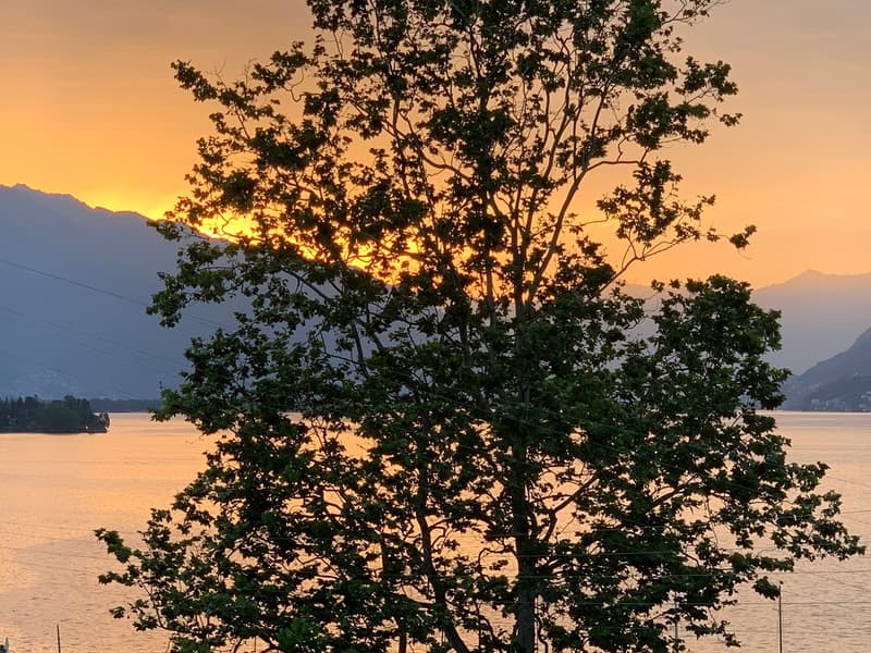 Ampio 5,5 con giardino e terrazza con affaccio sul lago a Brissago (8)