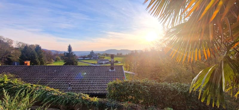 Duplex 4,5 in bifamiliare con panorama, giardino privato e grottino. (2)