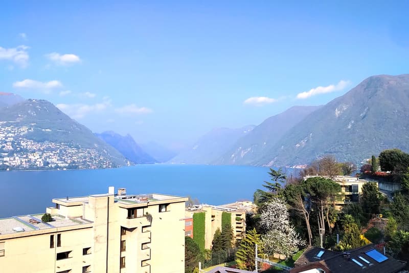 Meraviglioso 4,5 locali vista lago rinnovato in medio-alto standing (2)