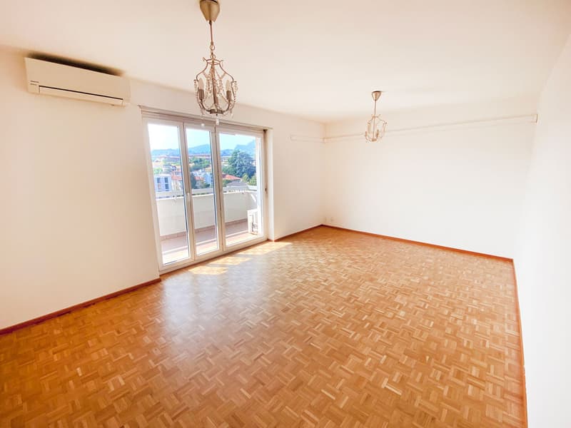 Splendido comodo 3,5 locali ristrutturato con terrazzo panoramico (2)