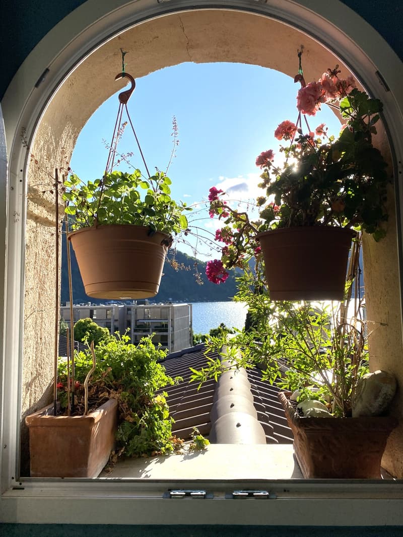 Appartamento 4 locali di charme ristrutturato con torretta panoramica (11)