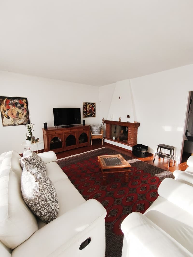 Elegante villa indipendente 5,5 locali con piscina e ampio giardino (2)
