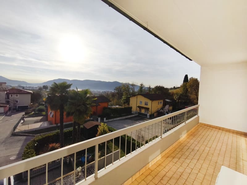 Elegante villa indipendente 5,5 locali con piscina e ampio giardino (4)