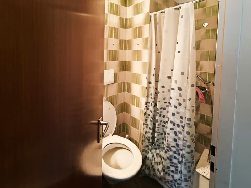 Casa indipendente 5,5 con giardino e spazi commerciali (12)