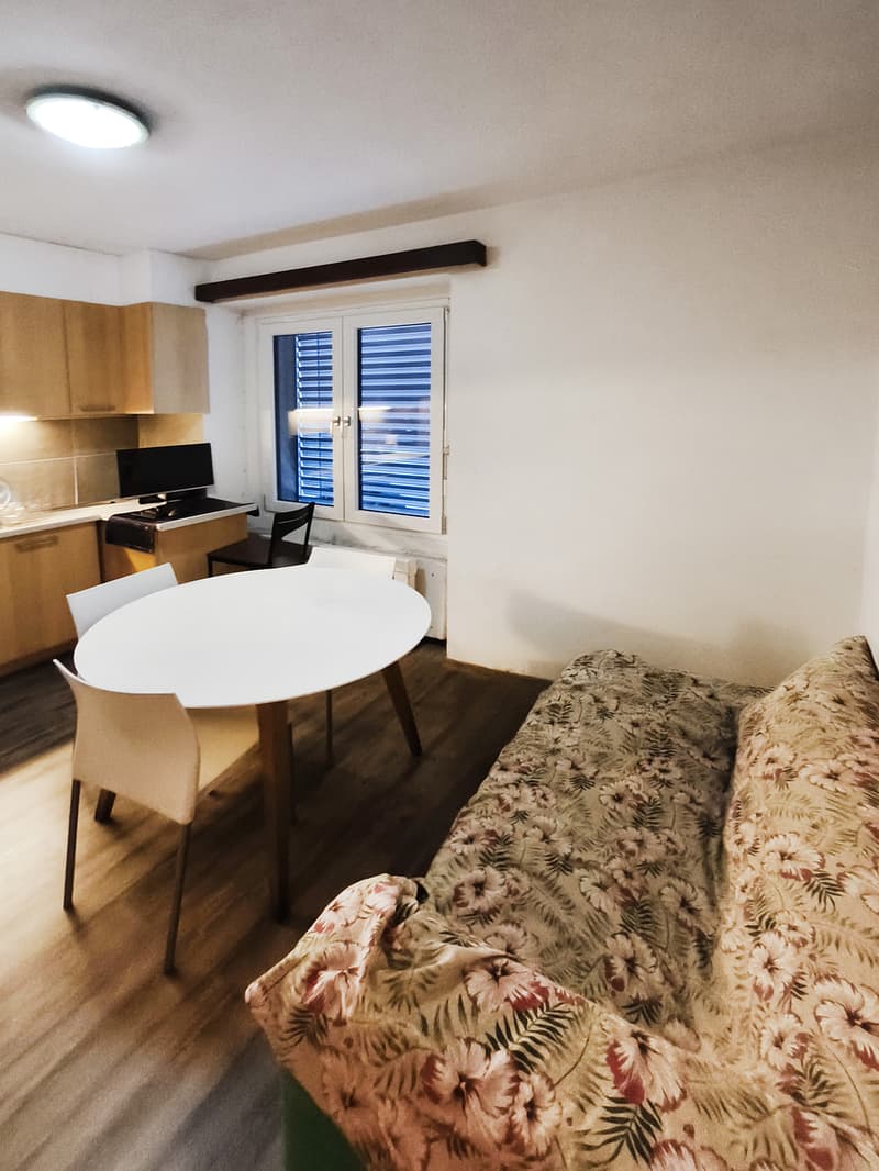 Casa bifamiliare di reddito con due appartamenti e spazio magazzino. (9)