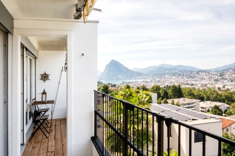 Raffinato appartamento 2,5 ristrutturato con terrazza panoramica (1)