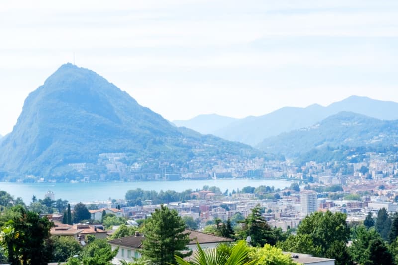 Raffinato appartamento 2,5 ristrutturato con terrazza panoramica (2)