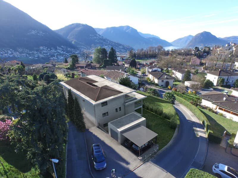 Prestigioso 7 locali con enorme giardino privato con possibile piscina (3)