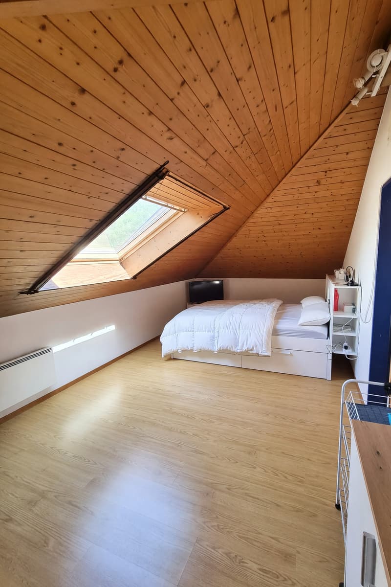 Duplex 5,5 locali luminoso con balcone e piano mansardato (5)