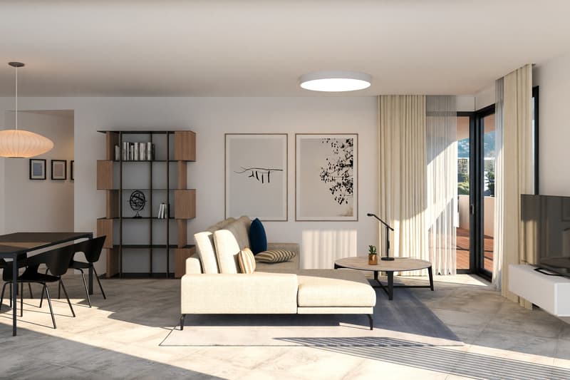 Nuovo e luminoso 3,5 con grande terrazza abitabile e vista aperta (2)