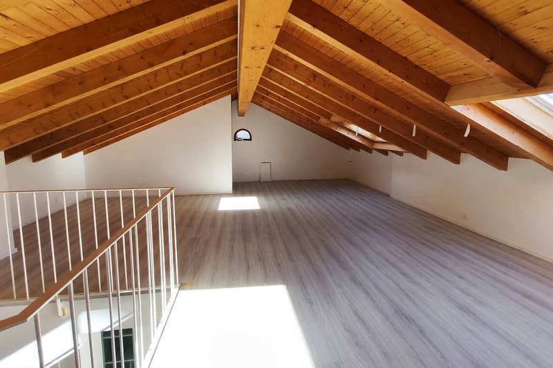 Appartamento 3,5 in affitto ristrutturato con giardino e mansarda (12)
