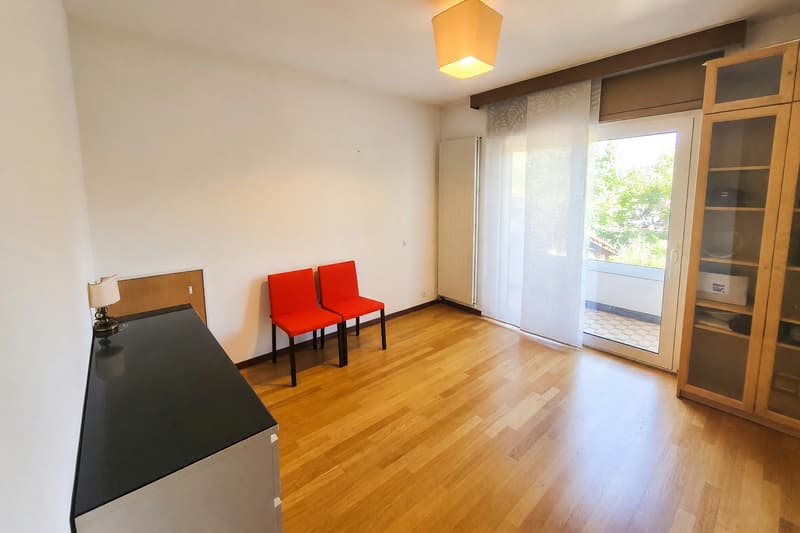 Appartamento 4,5 con camino e tre terrazzi a Manno (8)
