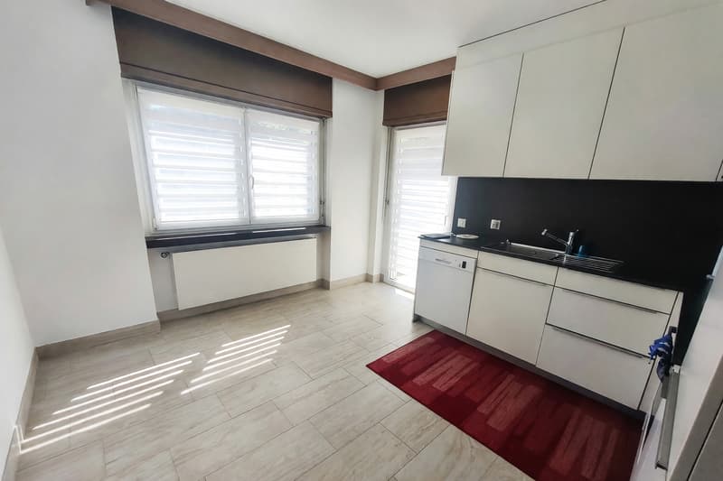 Appartamento 4,5 con camino e tre terrazzi a Manno (3)