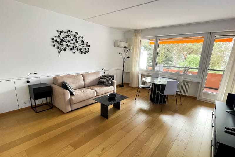 Bellissimo 2,5 locali con terrazza vista lago in residence di vacanza (2)