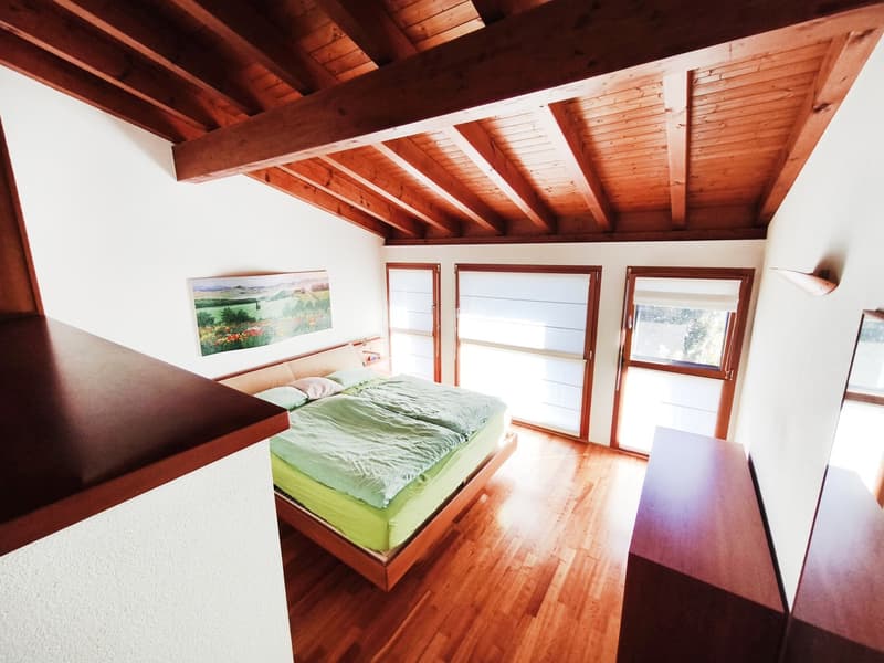 Villa 5,5 locali con piscina riscaldata, giardino privato e ampi spazi (9)