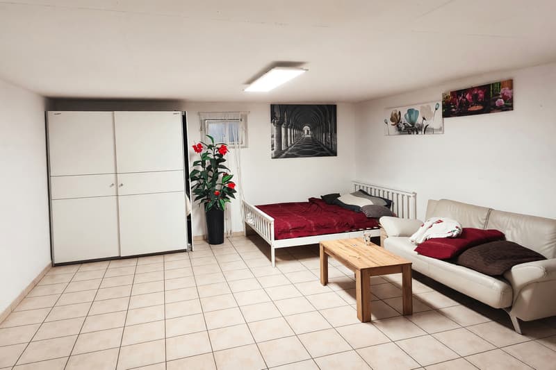 Villetta 5,5 con giardino di 300 mq e mansarda abitabile (12)