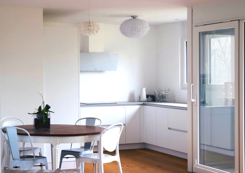 Moderno appartamento 3,5 con giardino e locale studio indipendente. (1)