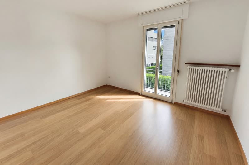 Bell'appartamento 4,5 ristrutturato con terrazzo a Bellinzona (6)