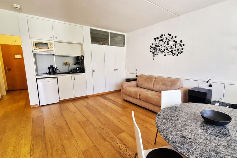 Bellissimo 2,5 locali con terrazza vista lago in residence di vacanza (4)