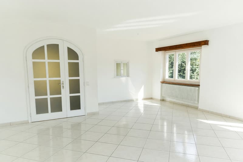 Appartamento 5,5 ristrutturato con giardino privato e tre balconi (1)