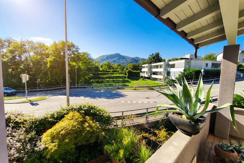 Casa bifamiliare 7 locali ristrutturata con giardino a Davesco (10)