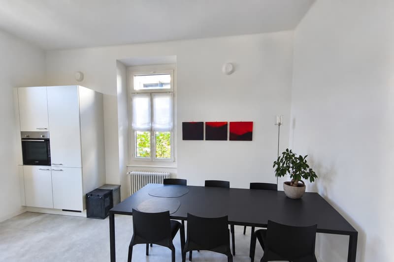 Appartamento 4,5 ristrutturato con due balconi e cucina abitabile (7)