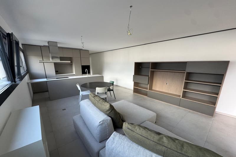 Moderno 2,5 con terrazza subito disponibile anche arredato (1)