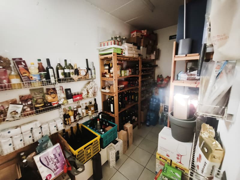 Meravigliosa casa 6,5 locali con giardino con piscina controcorrente (18)