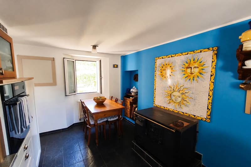 Casa bifamiliare 7 locali ristrutturata con giardino a Davesco (14)