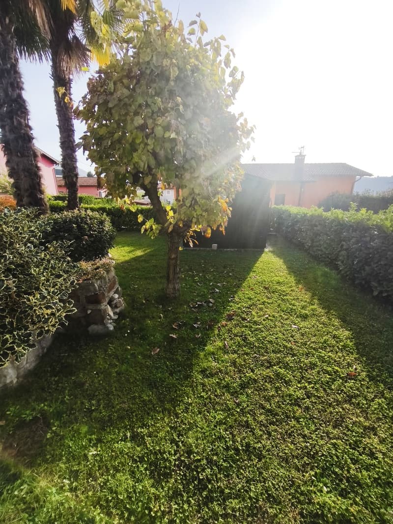 Elegante villa indipendente 5,5 locali con piscina e ampio giardino (14)