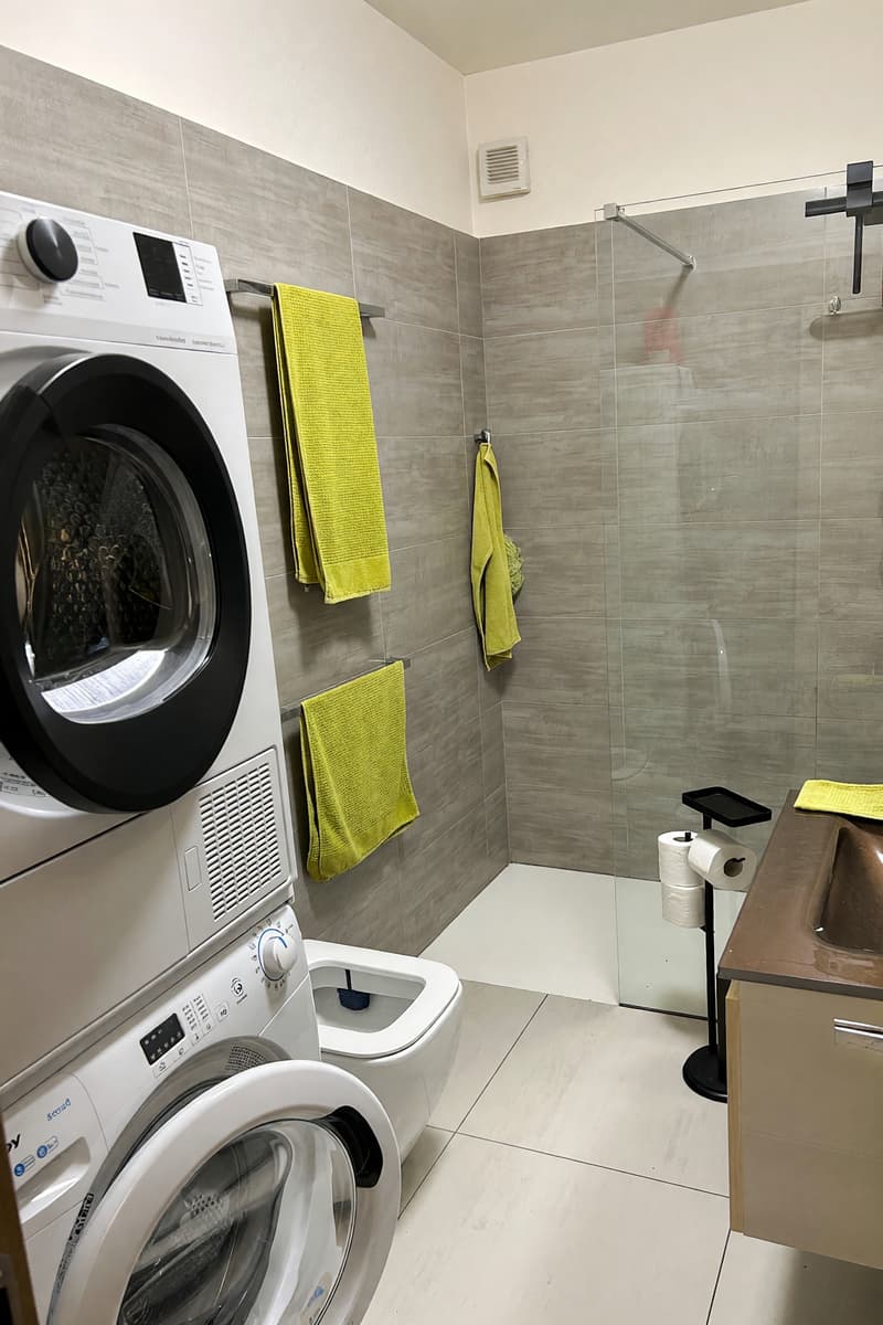 Appartamento 4,5 ristrutturato con terrazzo e caminetto (15)