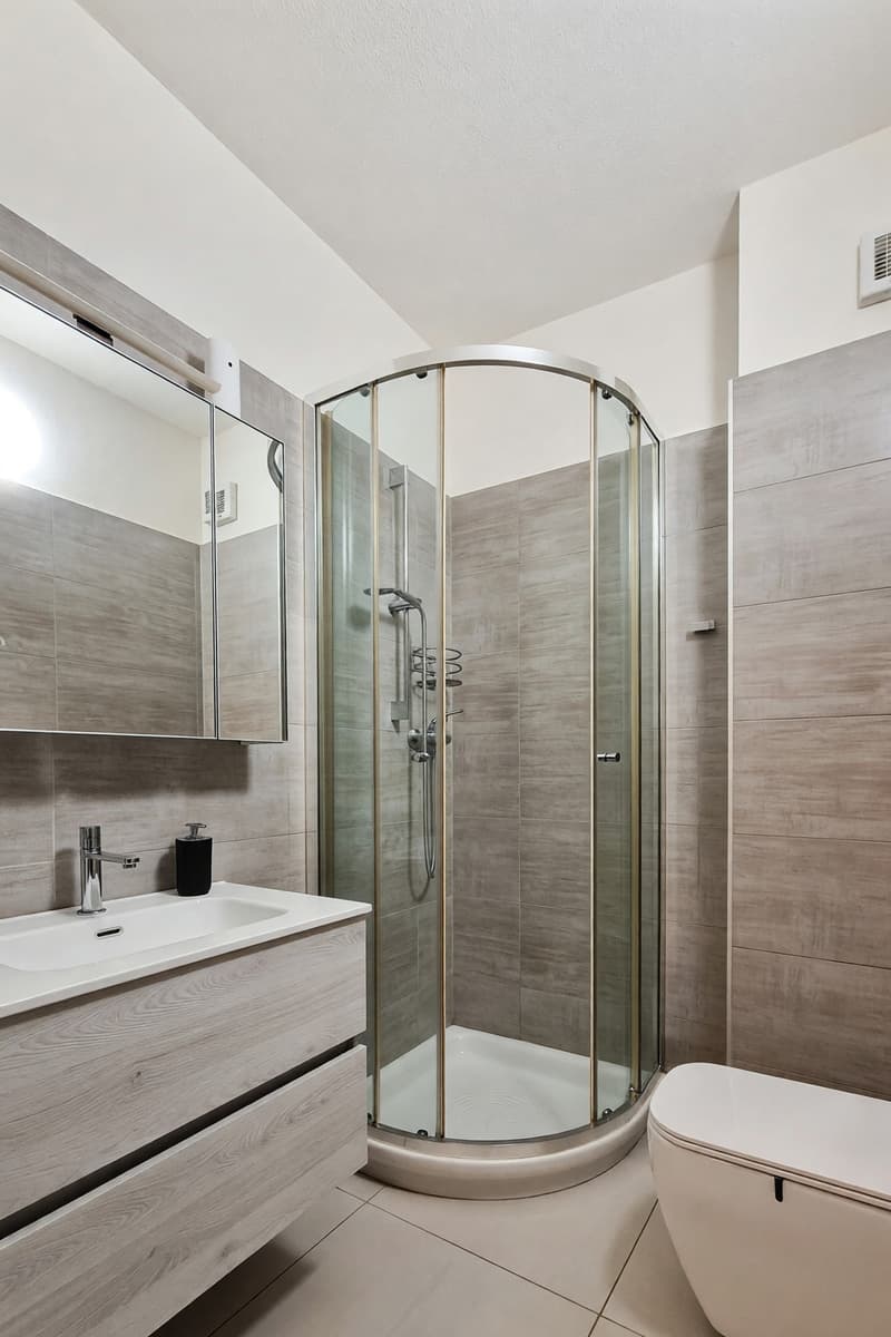 Appartamento 4,5 ristrutturato con terrazzo e caminetto (14)