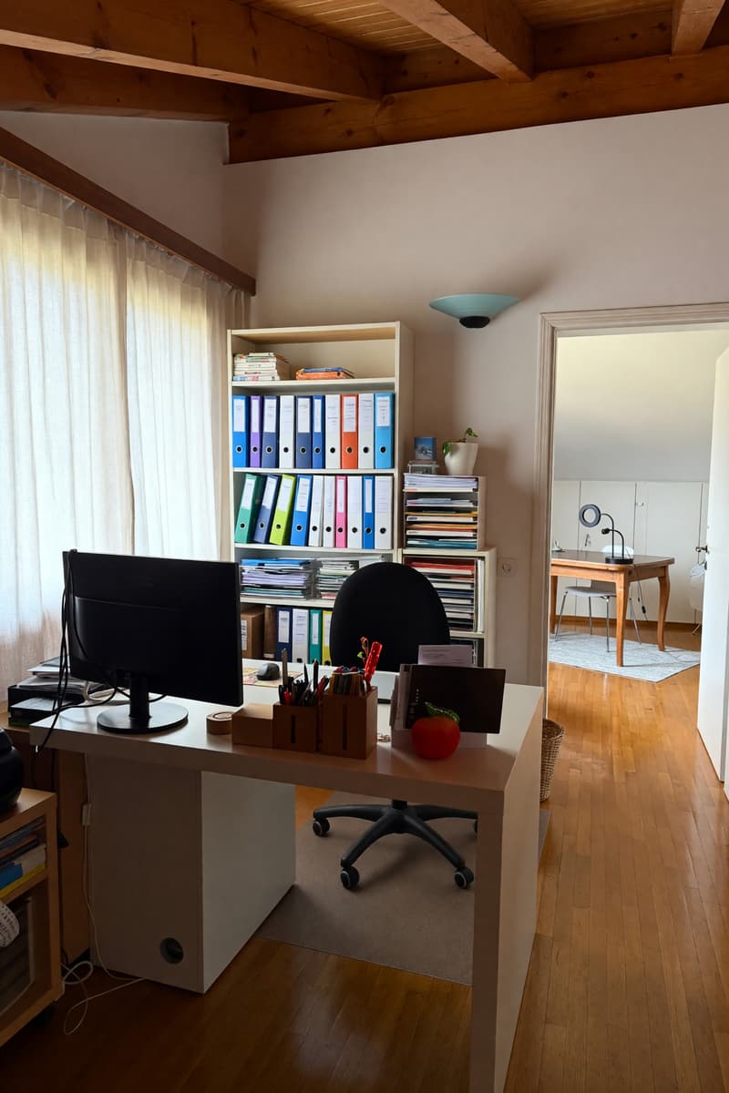 Bellissimo ampio duplex 5,5 locali con terrazza panoramica e camino (14)