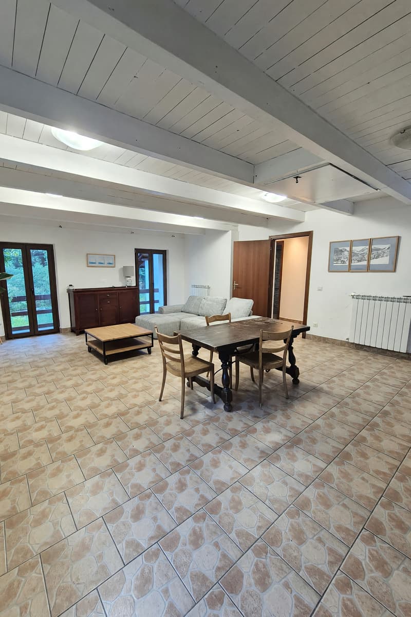 Affascinante appartamento 4,5 con vista mozzafiato in Valle Verzasca (1)