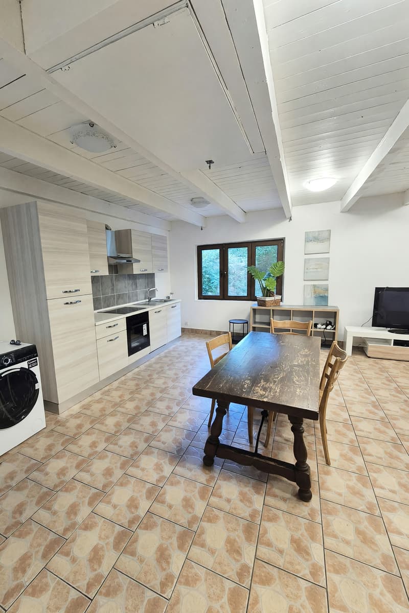 Affascinante appartamento 4,5 con vista mozzafiato in Valle Verzasca (9)