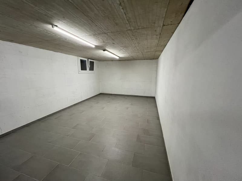 Moderna casa bifamiliare individuale, di 4.5 +3.5 locali con ampio giardino (17)