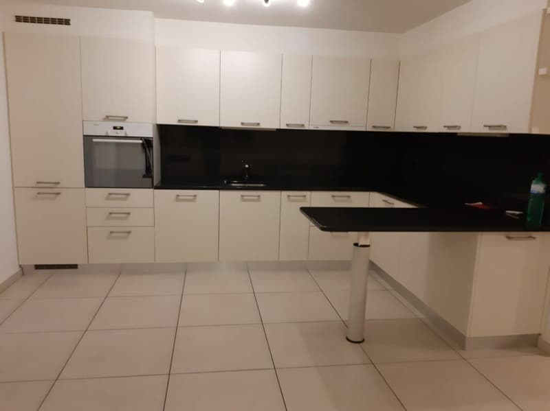 Casa Bifamiliare di 2.5+5.5 locali con terreno (12)