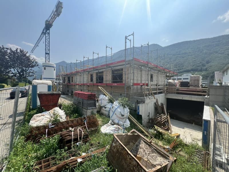 Appartamento 3.5 locali al piano terra con giardino (3)
