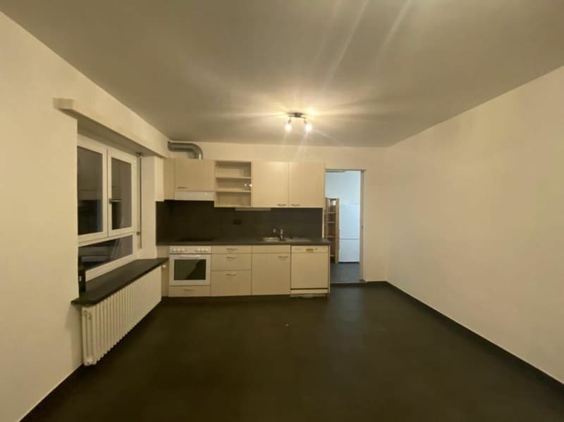 Casa bifamiliare con ampio spazio verde (15)