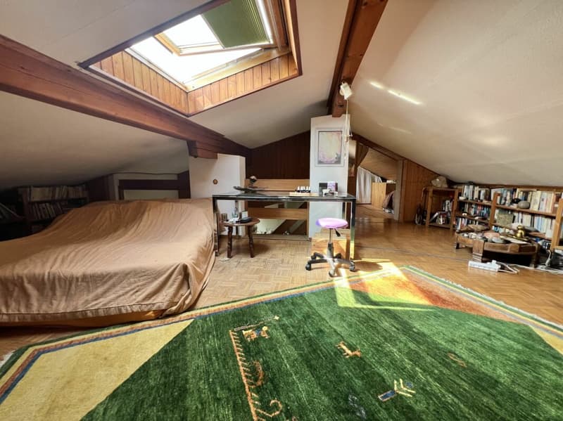 Casa bifamiliare con ampio spazio verde (12)
